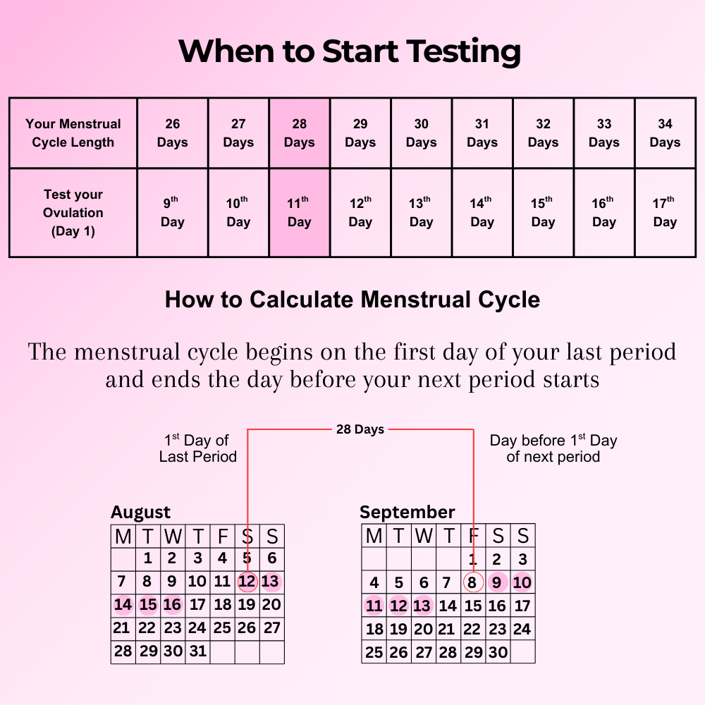 B-Arm Ovulation Detection Kit